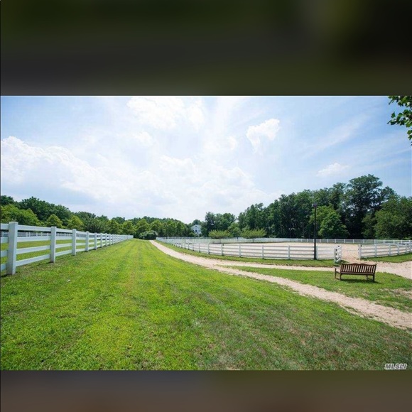 Meet your Posher, Ara - Picture 1 of 1